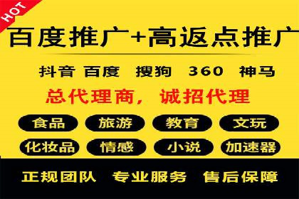 某电商企业如何通过百度竞价广告提升销售额